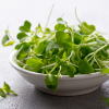 Microherbs