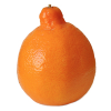 Minneola Tangerine