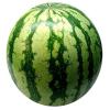 Mini Seedless Watermelons