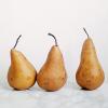 Bosc Pears