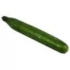 English Cucumber