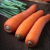 Cello Carrots with Tops Removed