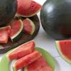 Untiedt's Black Diamond Watermelon