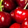 Red Super Cherries