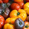 Heirloom Tomatoes