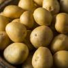 Yukon Gold Potatoes