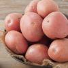 Red Potatoes