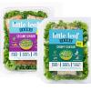 Little Leaf Salad Kits