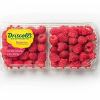 Raspberries
