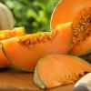 Cantaloupe Melon - Hero Banner