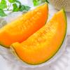 Sugar Kiss Melons