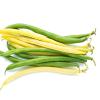Green and Yellow Beans