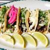 Taco Terco