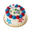 Minnesota Twins Cake