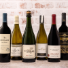 Best of the Season Wines for 2025