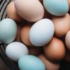 White, brown, and blue eggs in a wire basket