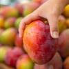 Selecting a mango at the grocery store